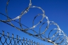 barb wire